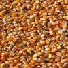 Grains